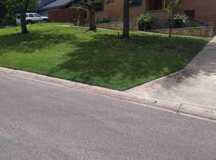 Nathaniel B.'s lawn service service result