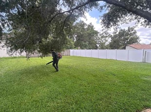 Lawrence M.'s grass maintenance service result