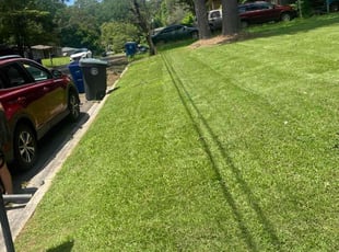 Kim W.'s turf maintenance service result