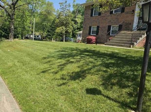 Cee C.'s lawn care services service result