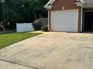 Kristy S.'s Bush Trimming service result