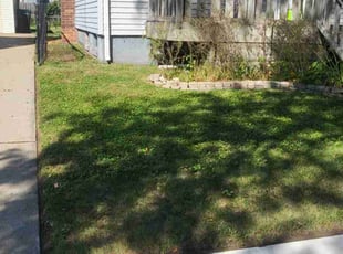Dana M.'s lawn maintenance service result