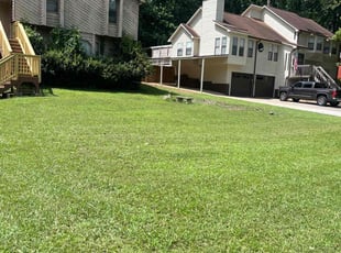 Noemi A.'s grass cutting service result