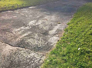 Habeeb K.'s grass maintenance service result