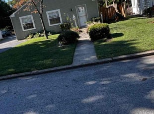 Delphine B.'s turf maintenance service result