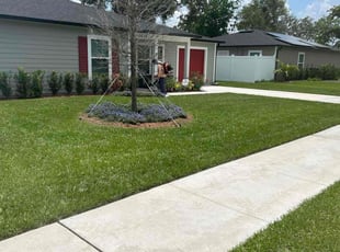 Tammy S.'s turf maintenance service result