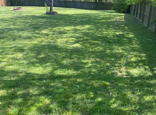 Deborah M.'s turf maintenance service result
