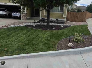 Kelsey R.'s lawn service service result