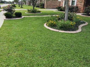 Rebecca H.'s lawn care services service result