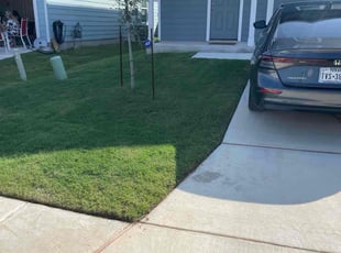 Damon M.'s lawn maintenance service result
