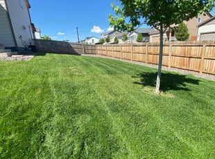 David S.'s lawn service service result