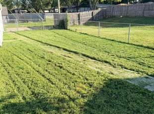 Rachel A.'s lawn maintenance service result