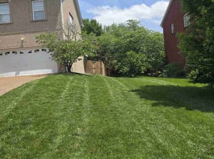 Karen W.'s lawn care service result