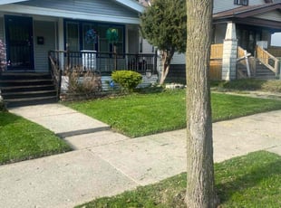Anthony F.'s turf maintenance service result