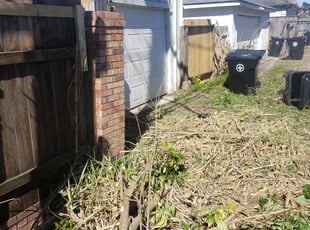 Robert M.'s Bush Trimming service result