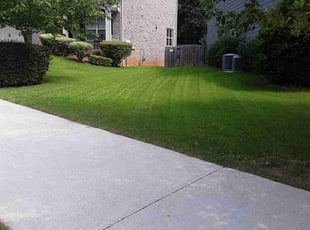 Tom C.'s lawn care service result