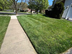 Whitney D.'s lawn service service result
