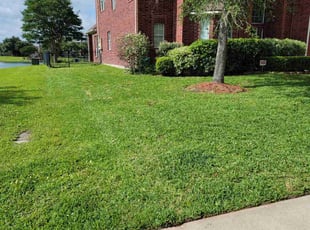 Scott K.'s lawn care service result