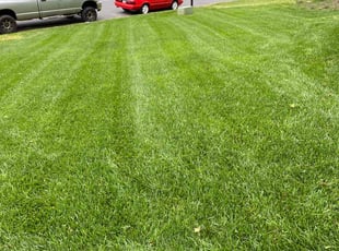 Diane K.'s lawn care service result