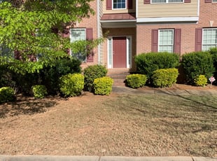 Melissa H.'s Leaf Removal service result