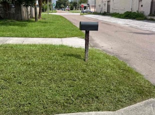 Scott O.'s grass cutting service result