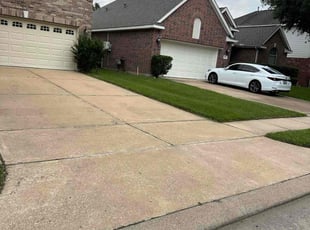 Marina G.'s grass maintenance service result