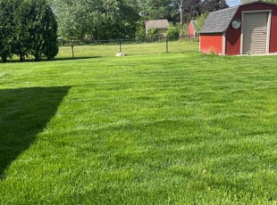 Sandra S.'s turf care service result