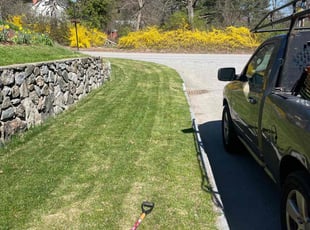 Mr B.'s lawn service service result