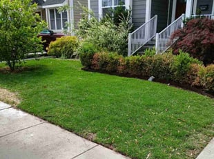 Jack B.'s lawn care services service result