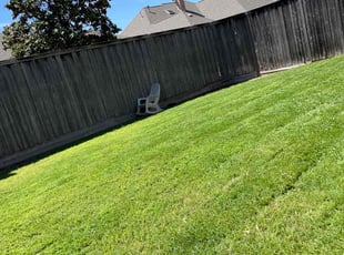 James B.'s grass maintenance service result