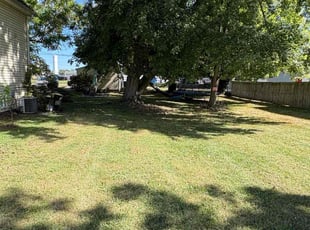 Jack B.'s lawn care service result