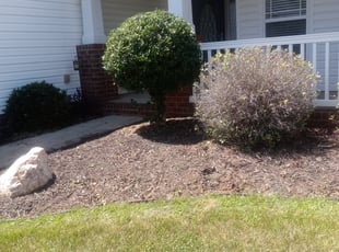 Anthony L.'s Bush Trimming service result