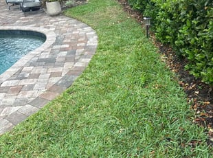 Florence P.'s lawn care service result