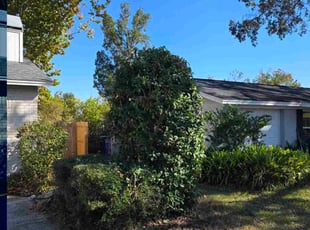Sara N.'s Bush Trimming service result
