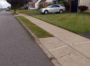 Carmen G.'s grass cutting service result