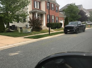 Russ G.'s Bush Trimming service result