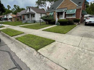 Calley C.'s grass maintenance service result
