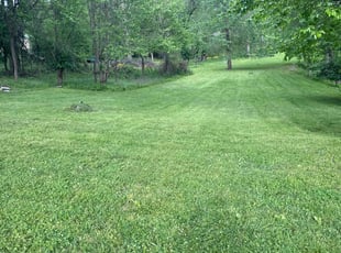 Thelia S.'s turf maintenance service result