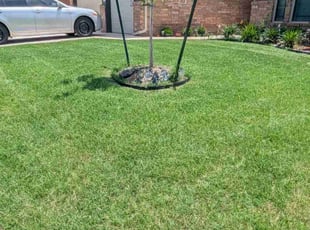 L J.'s grass maintenance service result