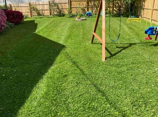 Amirshahram H.'s grass maintenance service result