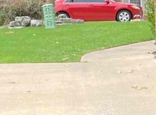Patricia S.'s lawn care service result