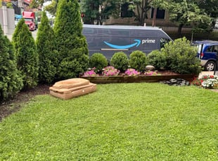 Deborah H.'s turf care service result