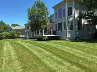 Jan B.'s lawn maintenance service result