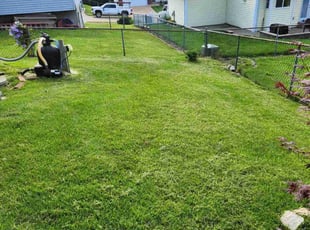 Marcia G.'s lawn maintenance service result