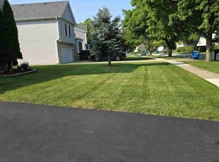Alpesh P.'s lawn care services service result
