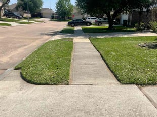 Isabel R.'s grass cutting service result