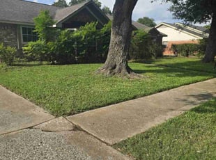 Jay G.'s grass cutting service result