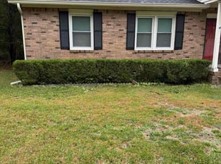 Dennis Z.'s Bush Trimming service result