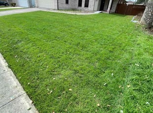 Tiffany W.'s lawn care services service result