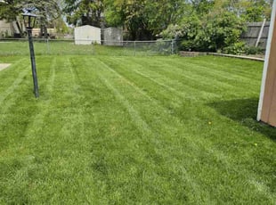 Ricardo F.'s grass cutting service result